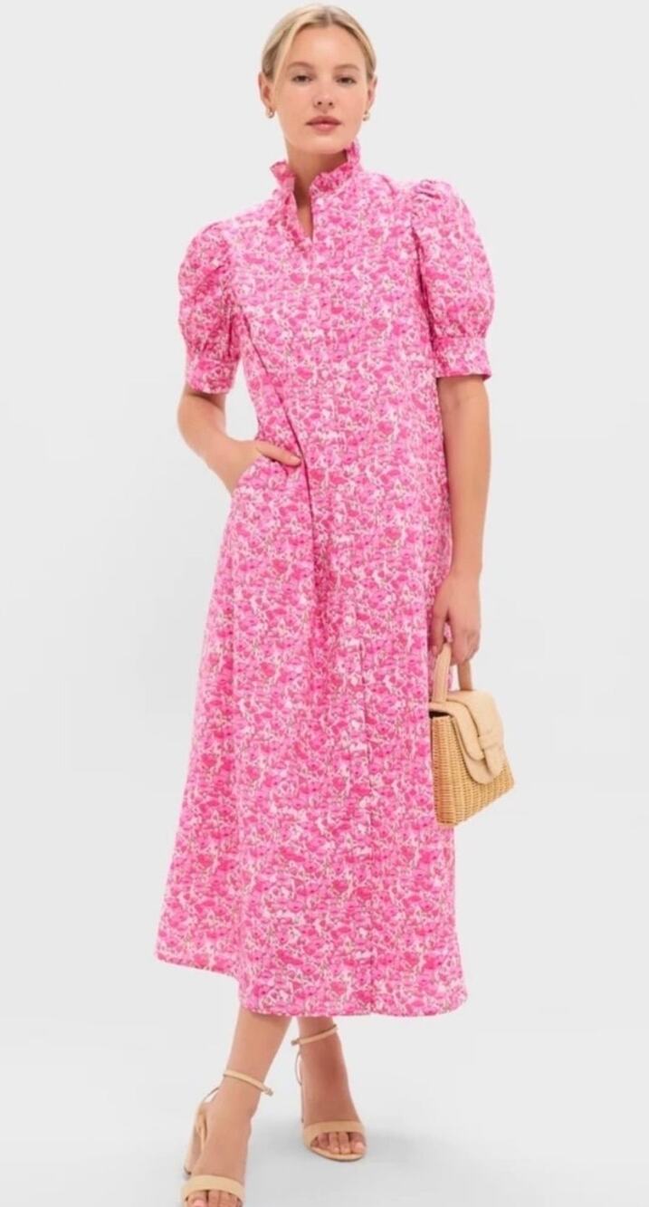 Tuckernuck Hyacinth House Pink Poppies Floral Louisa Maxi Dress Size XL